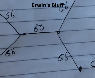 Erwin's Bluff